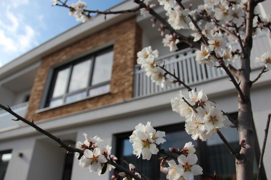 Haus Renee Bed & Breakfast Podersdorf am See Dış mekan fotoğraf